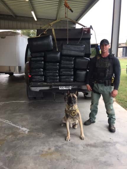 Fayette County sheriff's Sgt. Randy Thumann and Lobos found 468 pounds of marijuana hidden...
