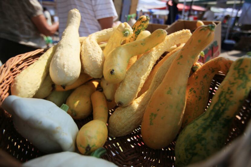 A variety of squash, including zuchetta, zephyr and pattypan from Rae Lili Farm in Cooper,...
