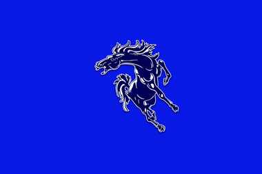 North Mesquite logo.