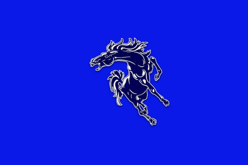 North Mesquite logo.