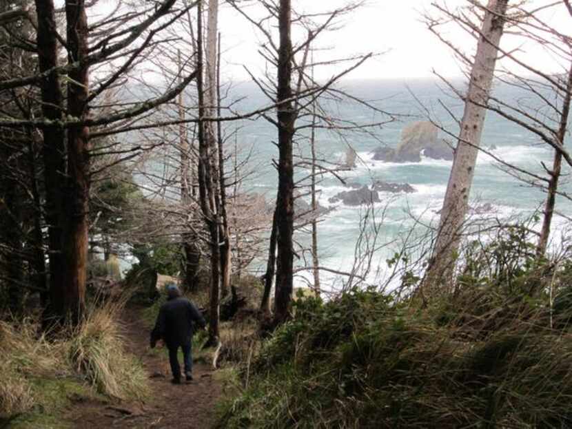 
Ecola State Park near Cannon Beach has spectacular Pacific Ocean views. Even when winter...