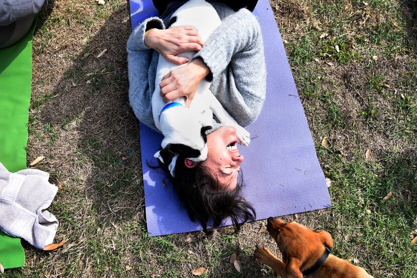 Teresa Martinez, 44, of Dallas, is playfully smothered by a dog during Puppy Yoga near the...