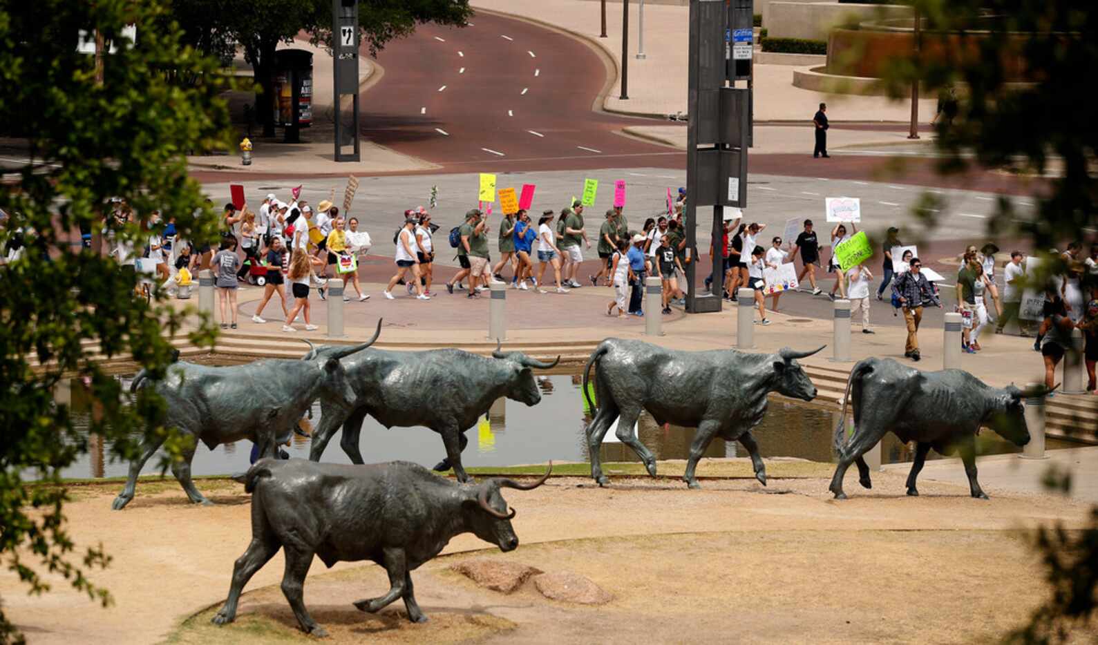Protesters march past the bronze cattle heard in Pioneer Plaza during the Keep Families...