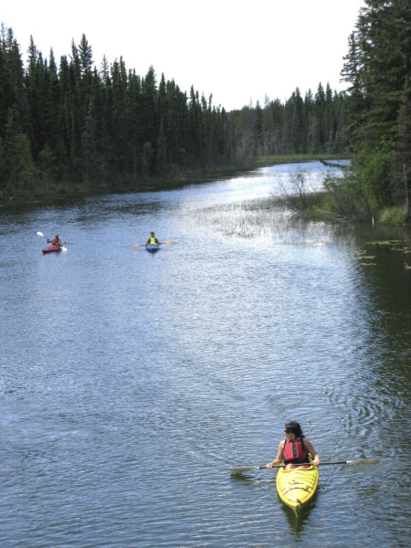 Kayakers explore the calm waters of the Wakesiu River within Prince Albert National Park....