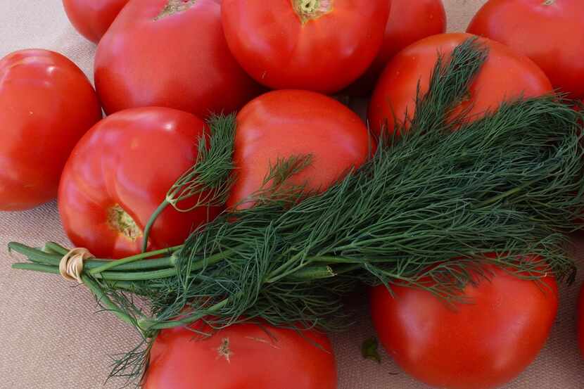 These tomatoes and dill come from the greenhouse at Embry Family Farm, a Mennonite farm in...