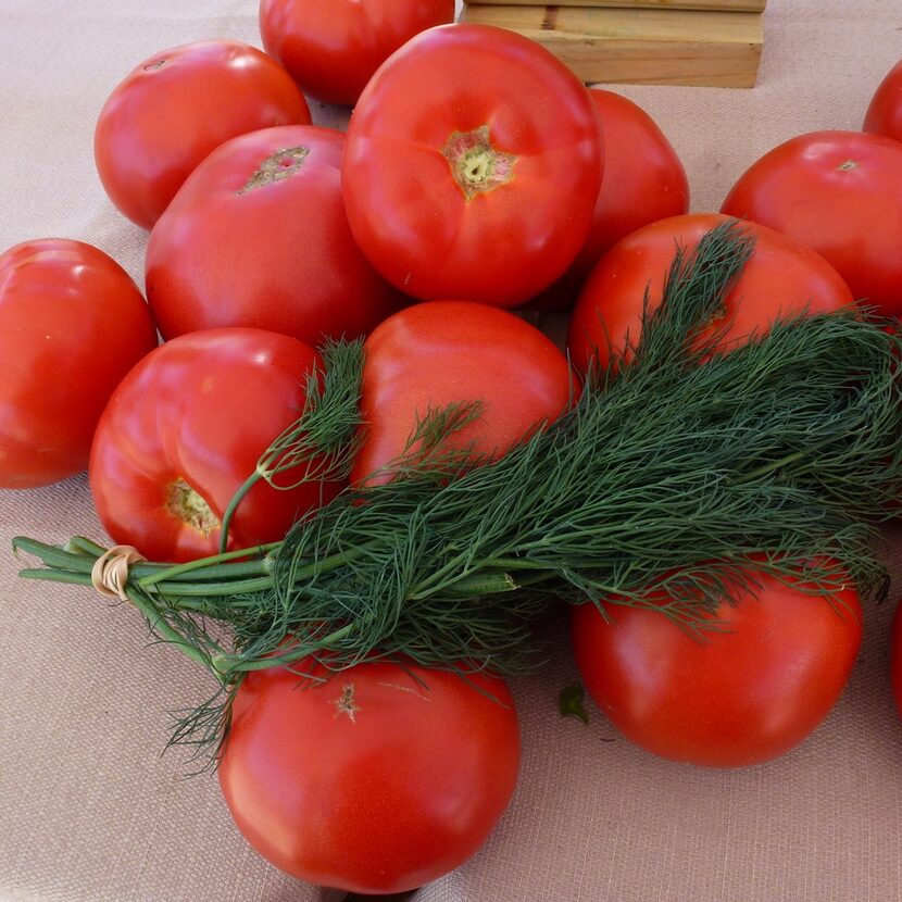 These tomatoes and dill come from the greenhouse at Embry Family Farm, a Mennonite farm in...