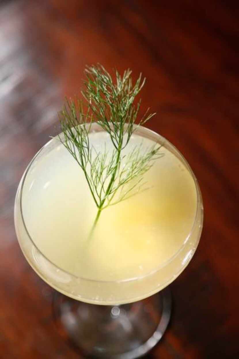 
Fennel Ricky cocktail
