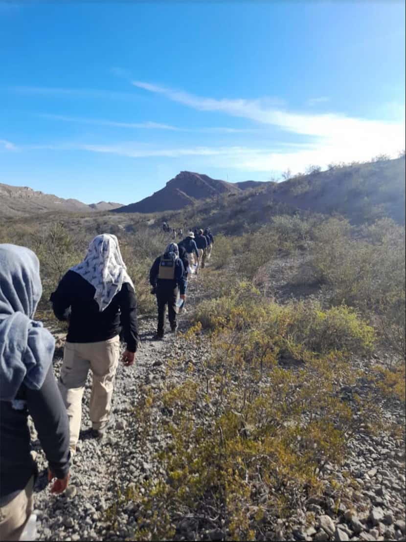 Searchers make their way through the desert scrub along the border near Ojinaga in Chihuahua...