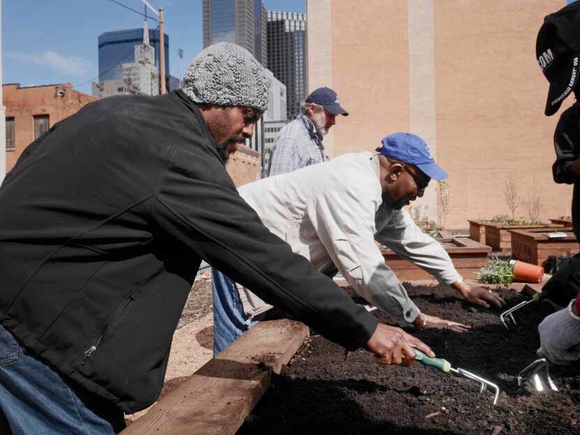 
Stewpot clients and First Presbyterian Chuch volunteers plant a variety of herbs in one of...