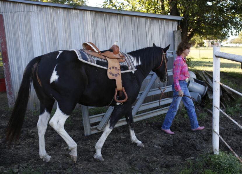Amber Parker walks her horse, Cherokee, to a field behind at her home in Ovilla, Wednesday,...