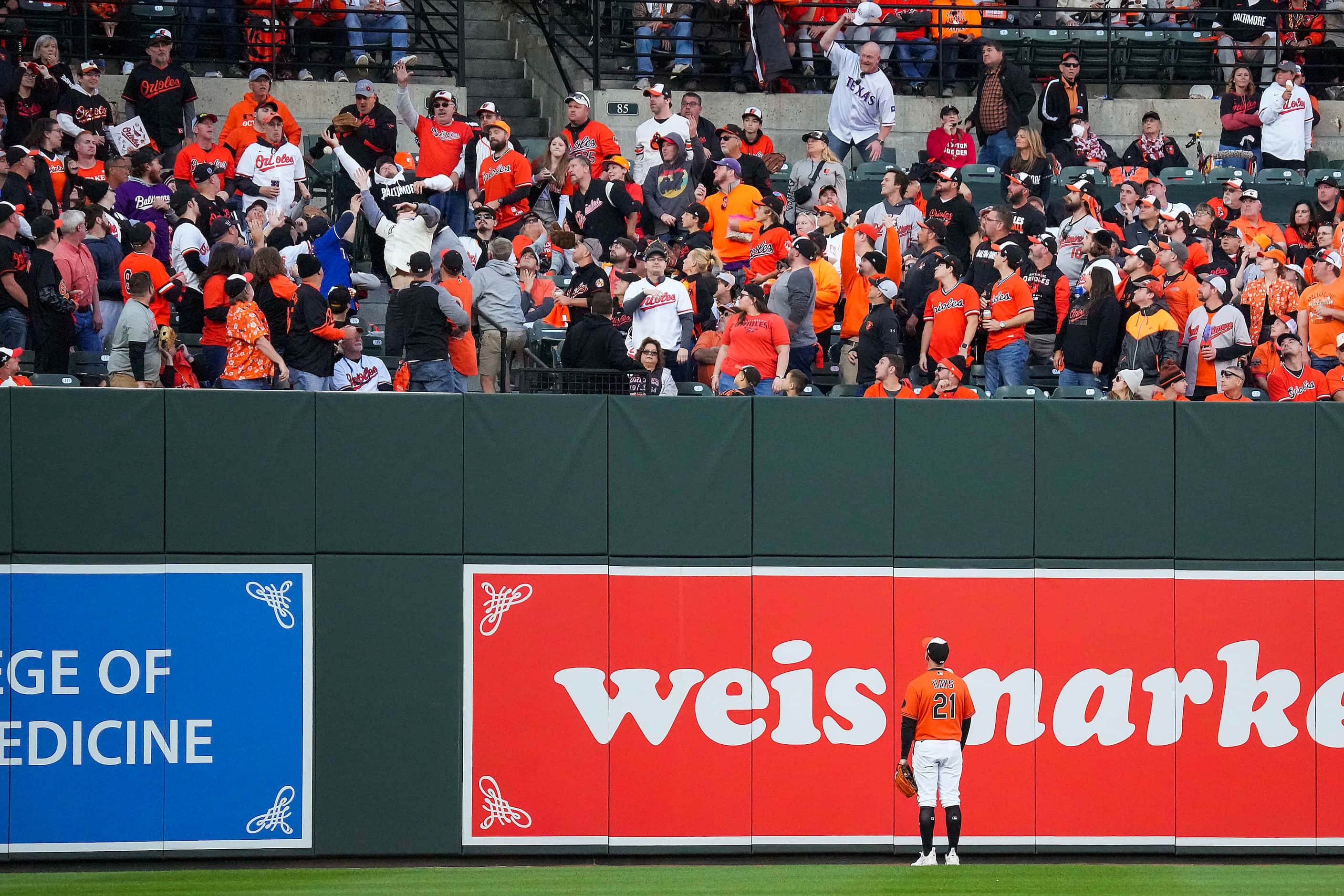 Baltimore Orioles left fielder Austin Hays watches fans reach for a grand slam by Texas...