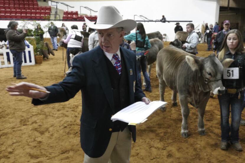 Breed superintendent Pat Hamilton organizes handlers and livestock during a competition....