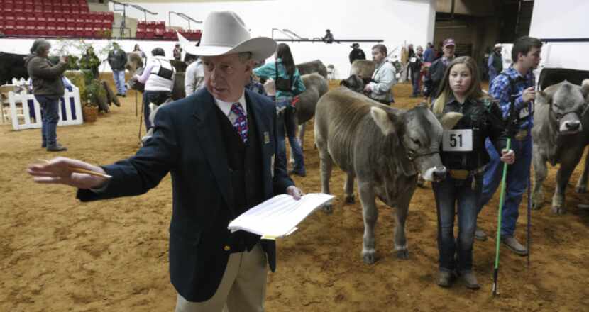 Breed superintendent Pat Hamilton organizes handlers and livestock during a competition....