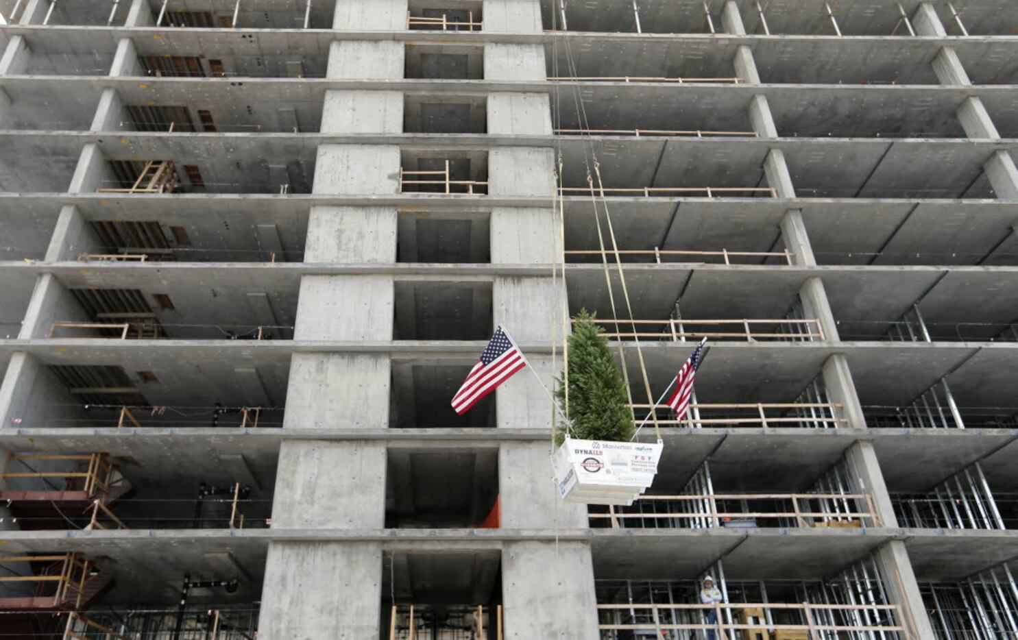 A leyland cypress is lifted from the ground during the topping out ceremony at the Omni...