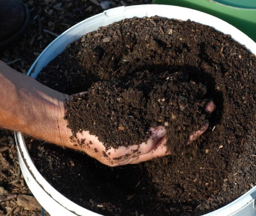 Finished compost looks and smells good. 