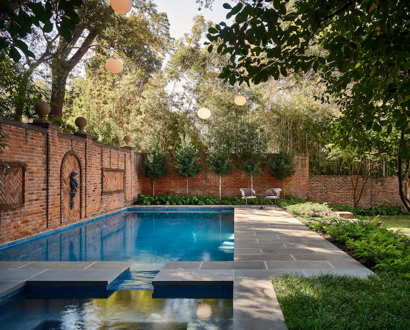 Holly ferns and aurelia line the pool wall.