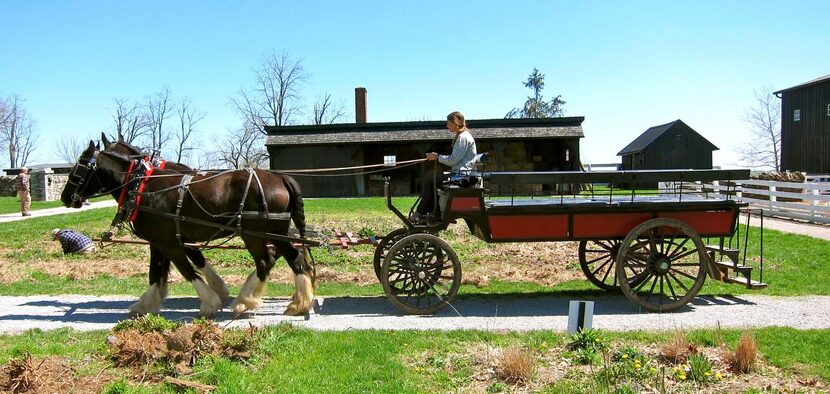 Horse and cart rides are a popular pastime here.