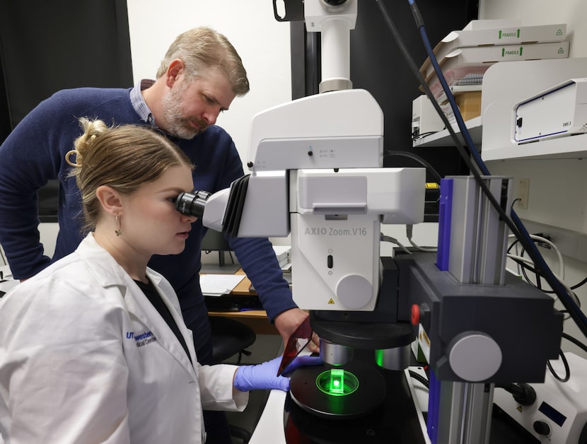 Sarah Cobb, left, studies a sample through a microscope as James Collins, an associate...