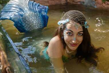 Four mermaids take up temporary residence at Scarborough Renaissance Festival in Waxahachie...