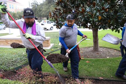 Juan Garcia raked mulch into place as Donato Perez brought mulch to fill a flowerbed on...