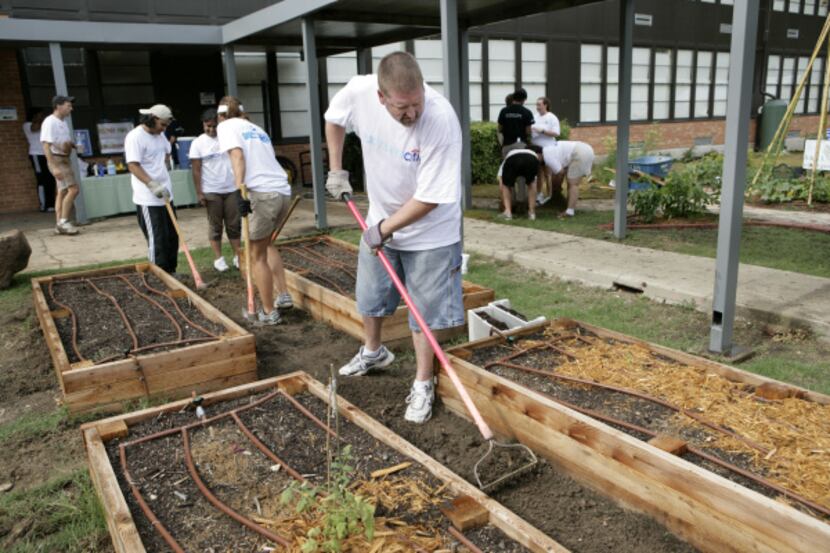 Volunteer Rob Back of Citi Group rakes the area between planters being built at Pershing...