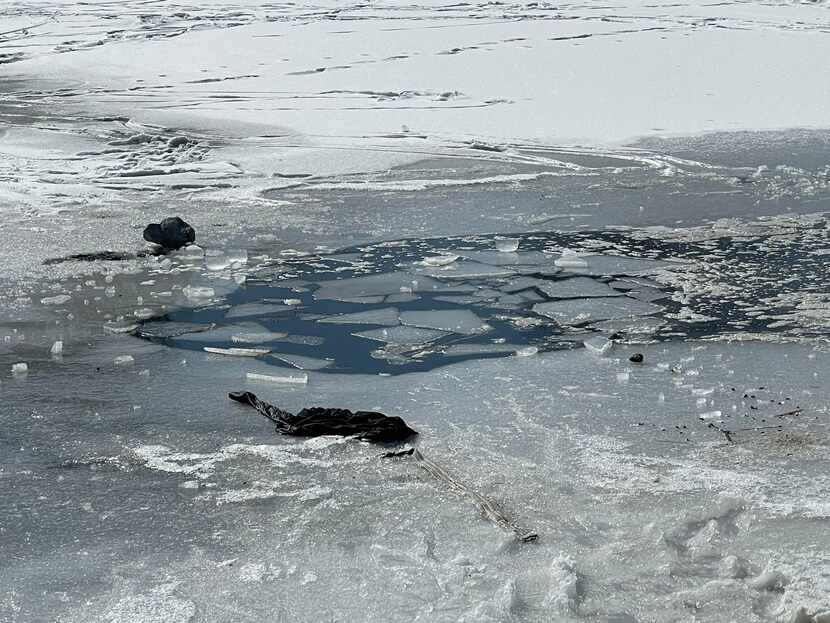 Two kids were rescued after falling into an icy pond near Lake Forest and Highland drives in...