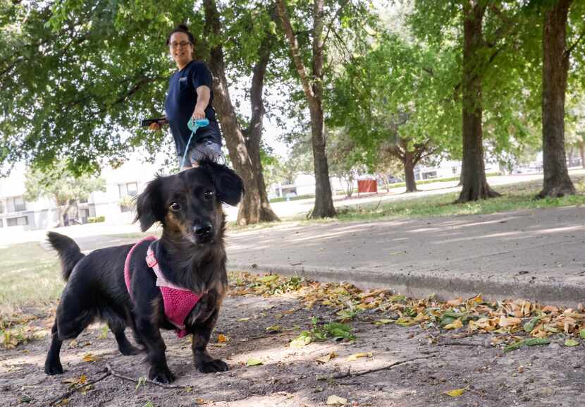 Pazuzu, 4, walks with Christina Guinn along Wilson Creek Trail at Al Ruschhaupt Park in...