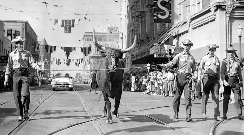 October 11, 1953 - Stepping out in the State Fair of Texas parade through downtown Dallas...