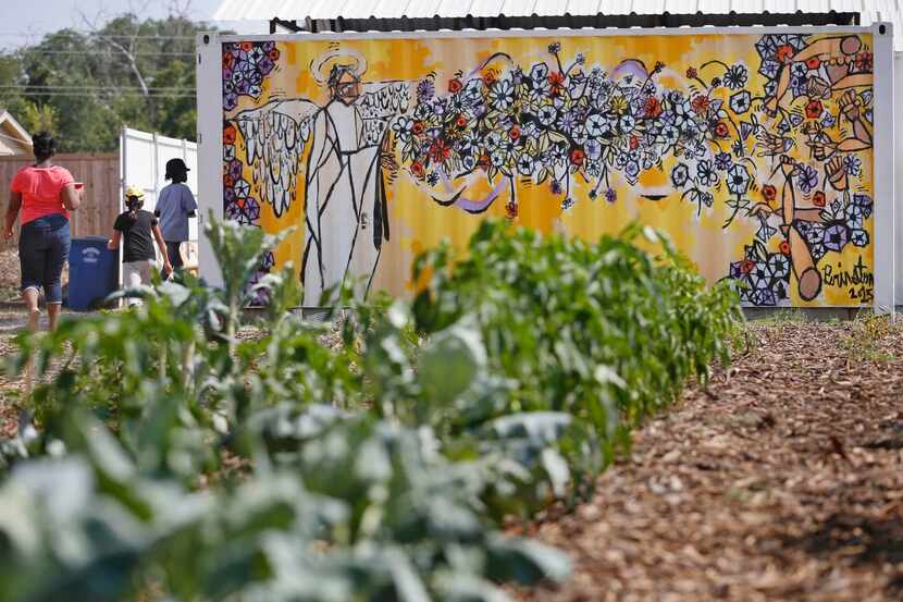 Bonton Blessing  flows along a Bonton garden wall. Artist Matthew Brinston and farm director...