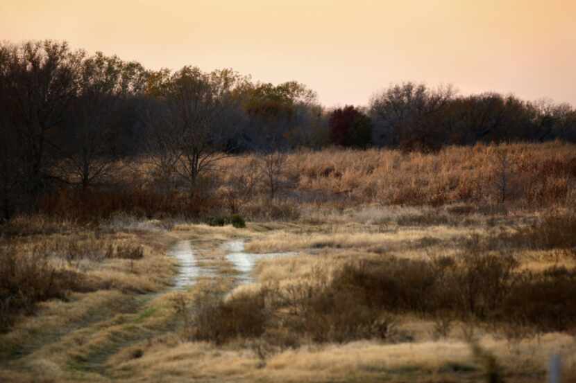 The sun sets over land owned by the city of Dallas in the Great Trinity Forest where a...
