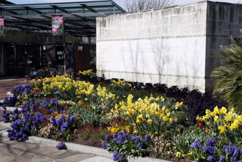The main entrance to the arboretum displays a riotous mix of color in hyacinths, daffodils,...