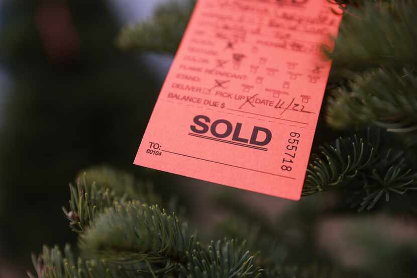 A sold sticker on a tree at Patton Christmas Trees in Dallas, which John Patton has owned...