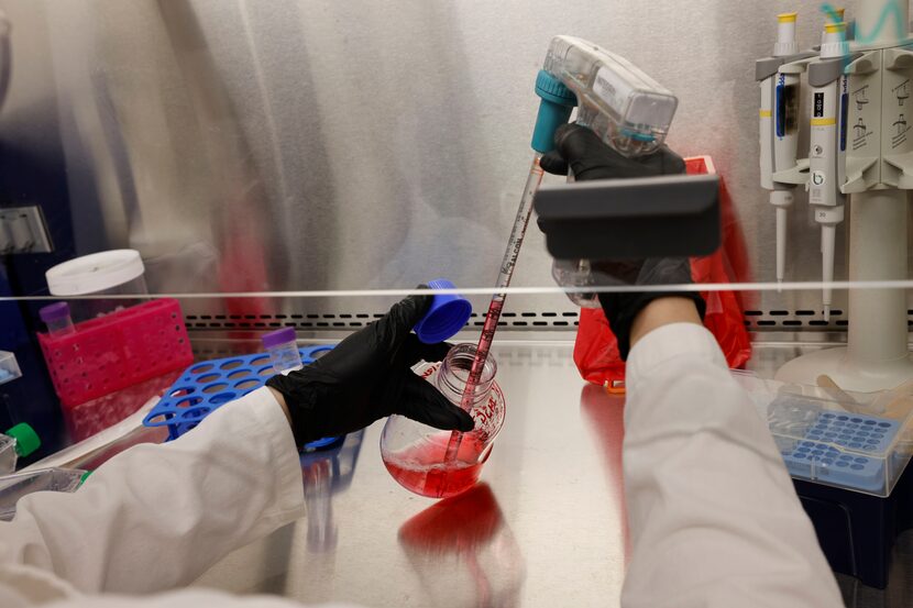 A research associate works in BioLabs’ shared lab space on Friday, Sept. 29, 2023, in Dallas. 