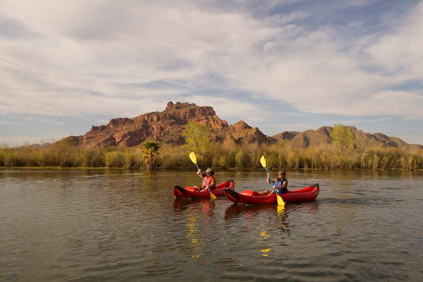 Along with mountains, you might spot bald eagles, wild horses and other wildlife during a...