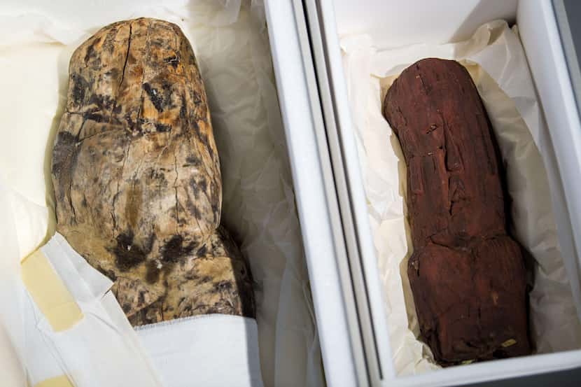Las piezas de madera de la cultura Olmeca, con unos 3,000 años de antiguedad.(GETTY IMAGES)
