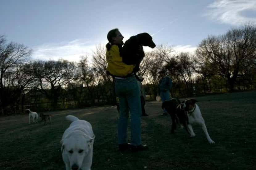 
Plano residents can enjoy the dog park, but one Wylie resident said she would like to see...