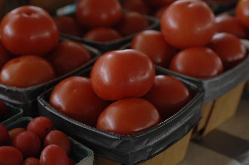 Tomatos grown by local farmer J.T. Lemley on his property near Canton.