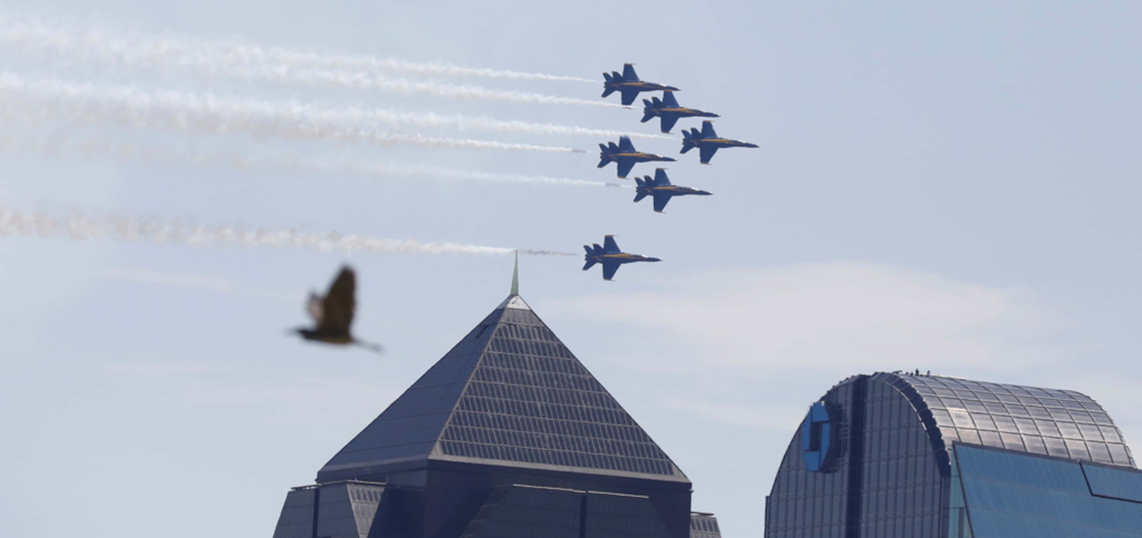 The U.S. Navy Blue Angels fly over the Dallas skyline on Wednesday, May 6, 2020.