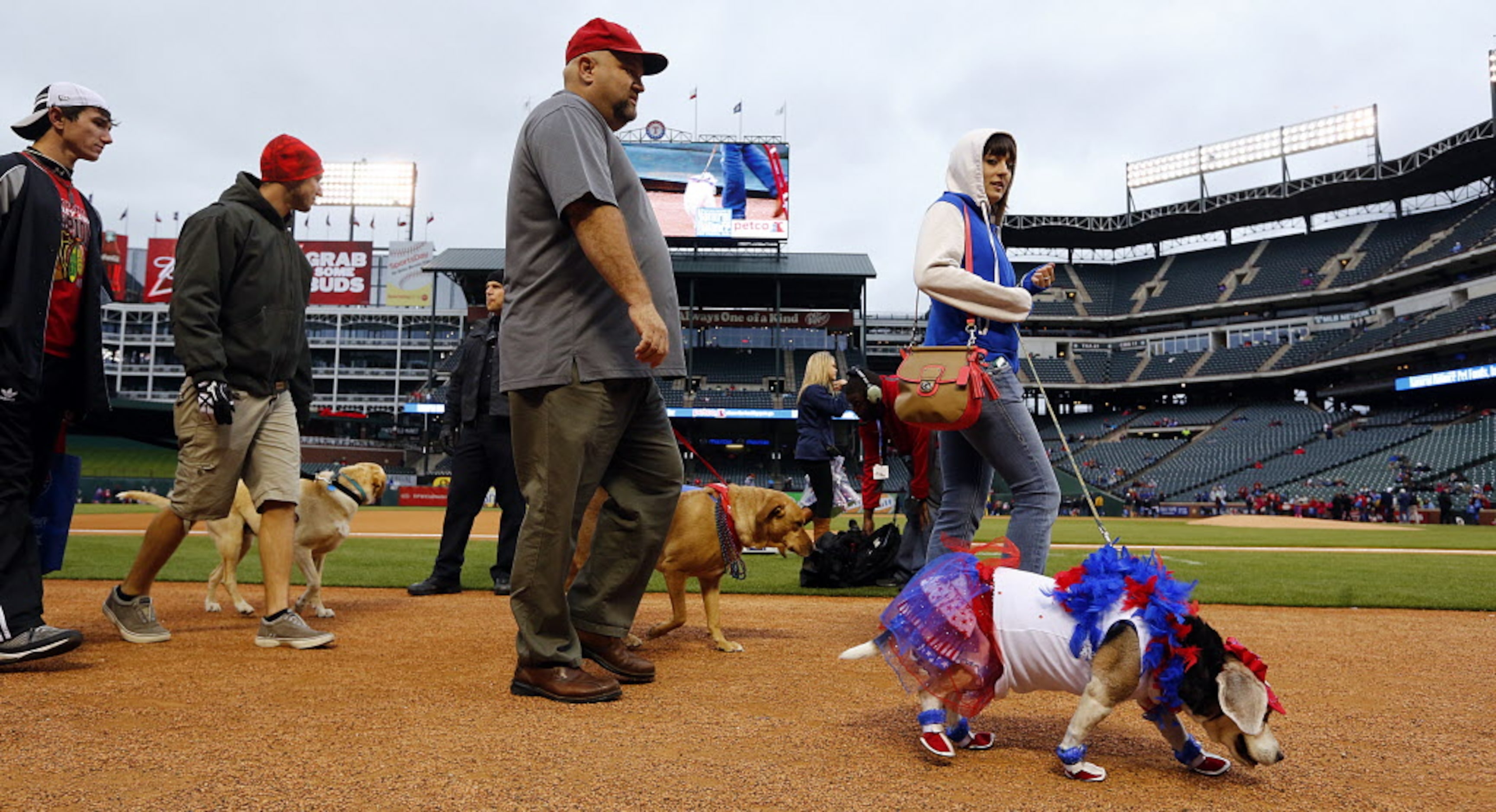 Dogs parade around the field at Rangers Ballpark in Arlington field during the eighth annual...