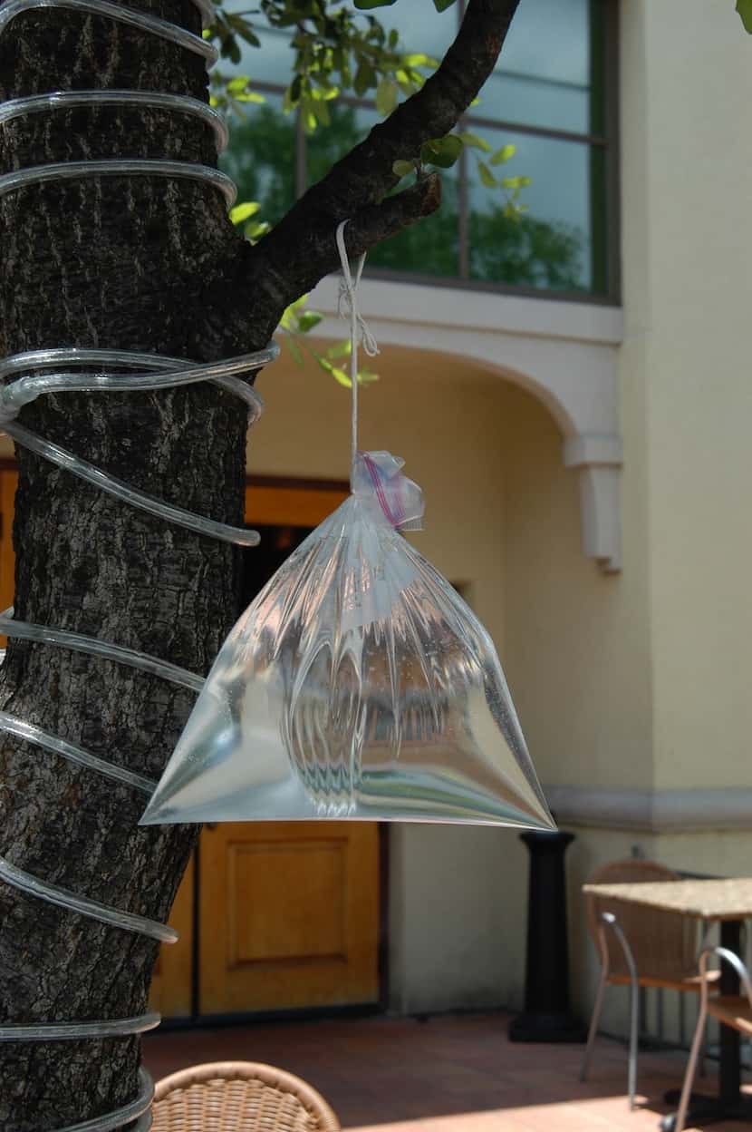 Hanging bags of water work surprisingly well to repel annoying flies. The rounder and...