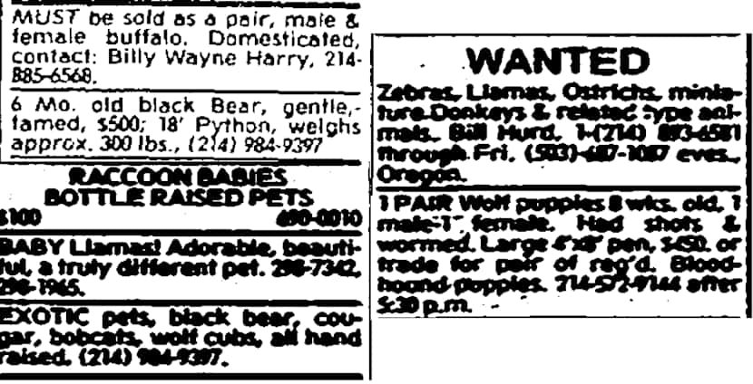 Classified ads from The Dallas Morning News, 1977 and 1978.