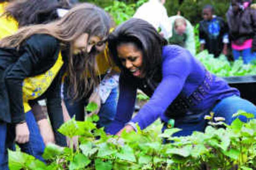  In October, first lady Michelle Obama harvested vegetables from the White House garden with...