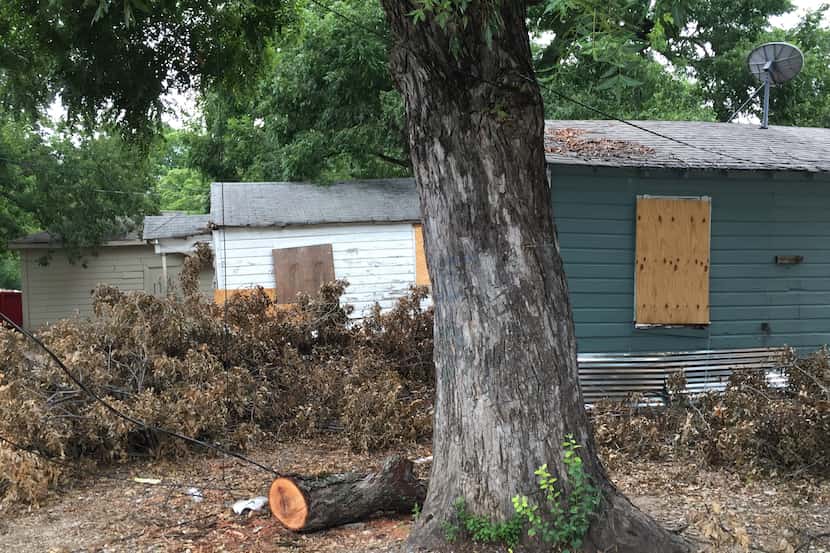 A boarded-up row of bungalows on Clarendon Drive is  an example of the disrepair throughout...
