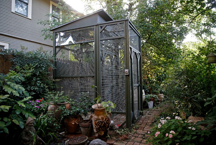 The diamond doves now have their own home, an aviary.