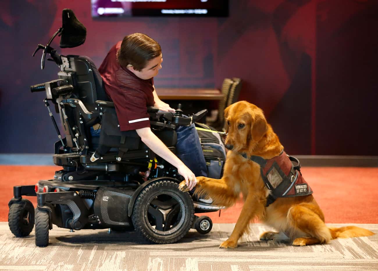 Texas A&M graduate student Kyle Cox, who has Duchenne Muscular Dystrophy, shakes Amber's paw...