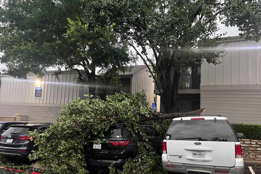 Downed tree limbs at The Biltmore Apartments on Tuesday, May 28, 2024, in Dallas. 