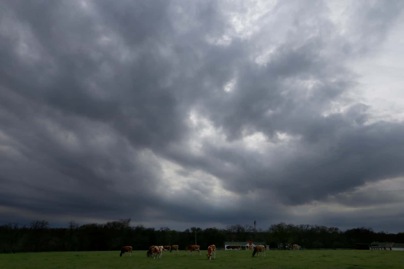 Dark clouds are seen above Lavon Farms on N. Jupiter Rd. in Plano, on Saturday, March 11, 2017.