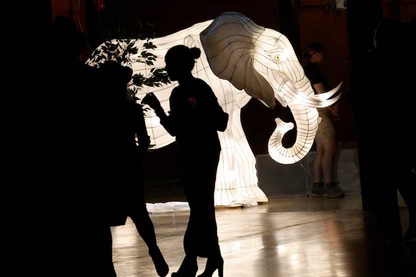 Guests walk by an elephant lantern at the Zoo To Do fundraiser at Fair Park’s Centennial...