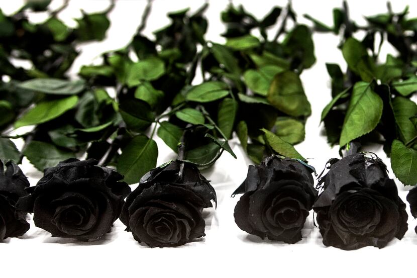 A table of black long-stemmed roses is included in the "Serenade Is Not Dead" exhibition,...