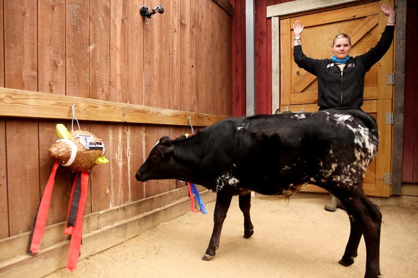 Cow trainer Frances Borgers throws up her hands into a touchdown after Captain, an...